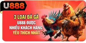 3 loại đá gà U888 được nhiều khách hàng yêu thích nhất